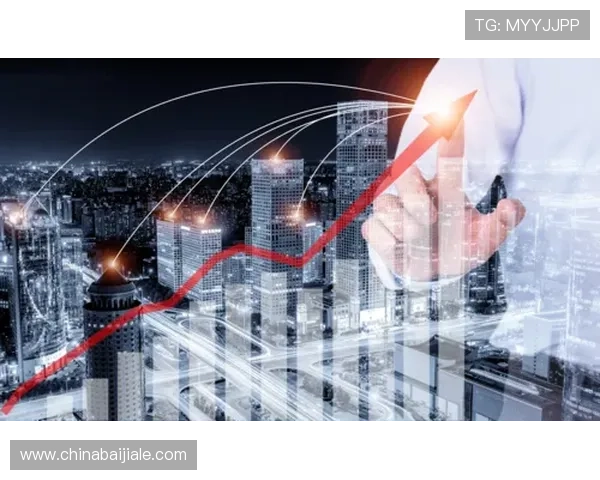 PA亚游国际市场环境分析与风险控制措施确保企业稳健发展战略选择