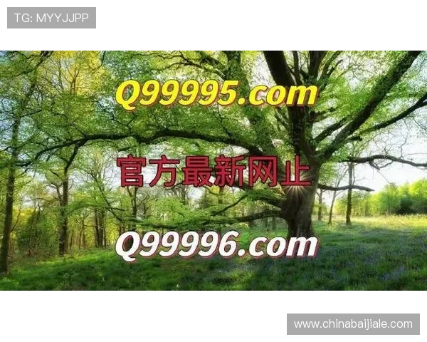 多平台支持AG真人下載，随时随地畅享精彩真人娱乐内容